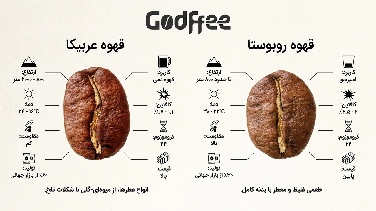 مقایسه قهوه ربوستا و عربیکا
